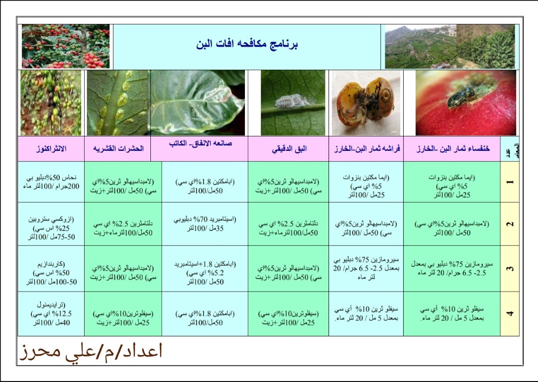 برنامج مكافحه افات البن
